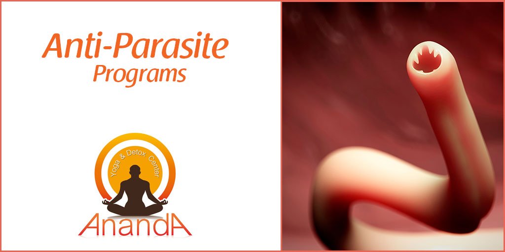 Anti-Parasite Program