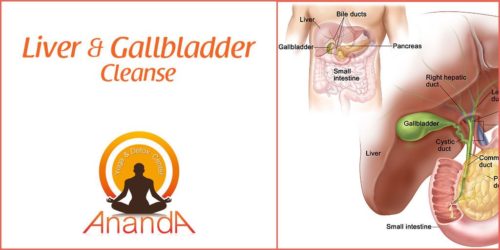 Liver and Gallbladder Cleanse